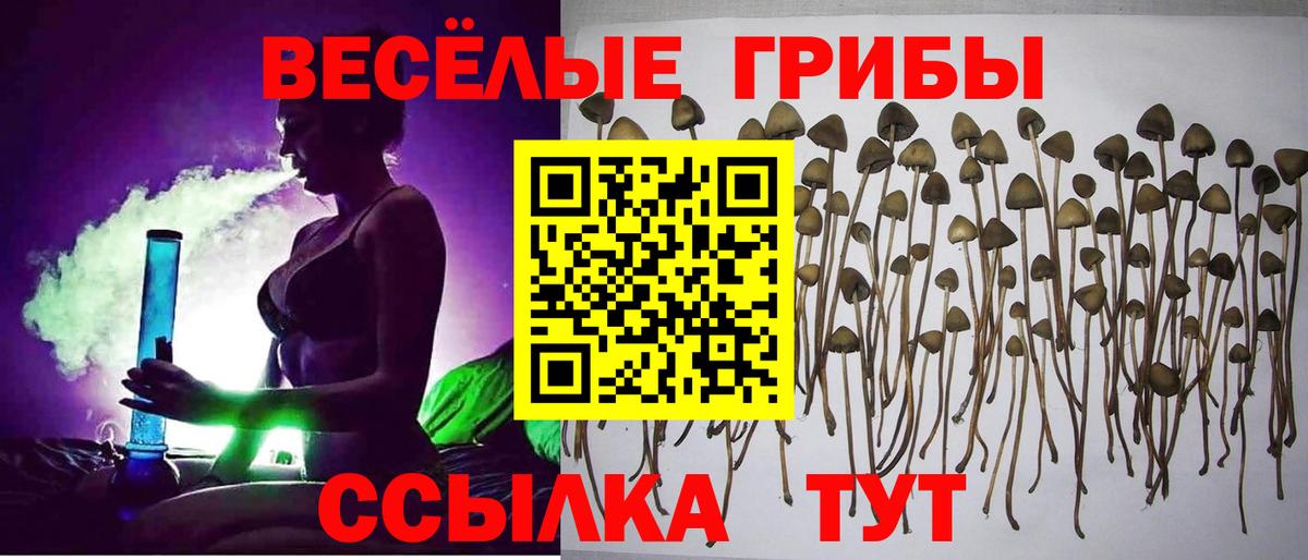 Северск  Галлюциногенные грибы прущие грибы  Вход с VPN  Псилоцибиновые грибы ЛСД 